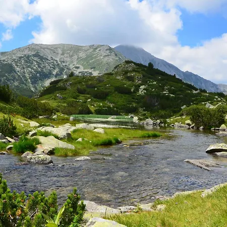 Belvedere Club H41 * Bansko