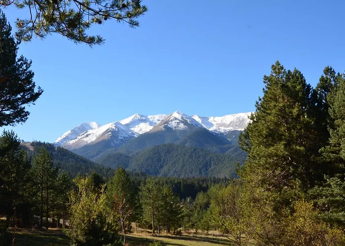 Belvedere Club H41 * 반스코