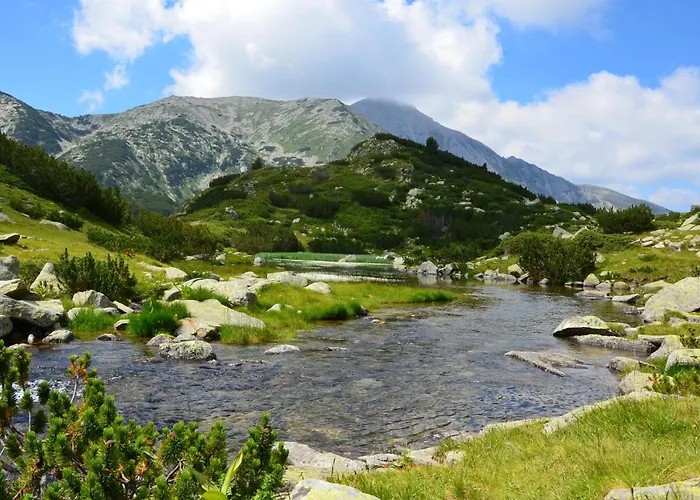 Belvedere Club H41 * 반스코