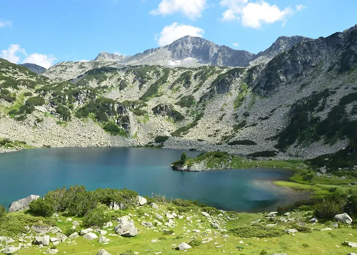 Belvedere Club H41 *